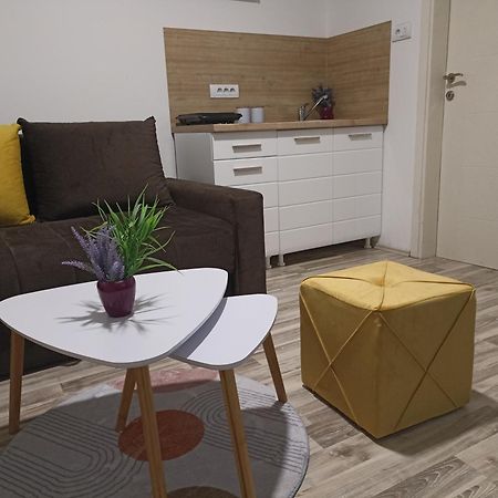 Vikendica apartments Dunav MS Celarevo Buitenkant foto