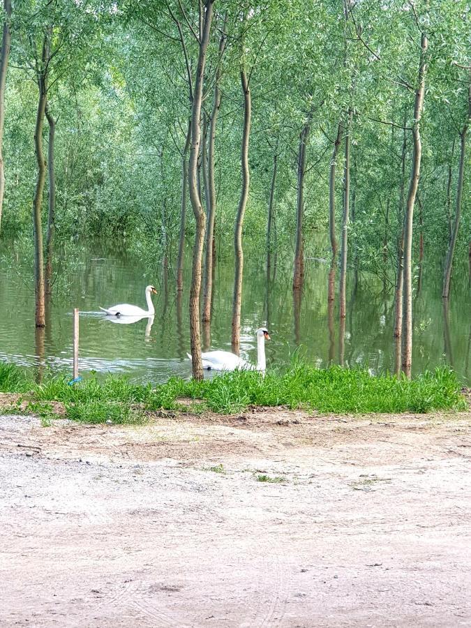 Vikendica apartments Dunav MS Celarevo Buitenkant foto